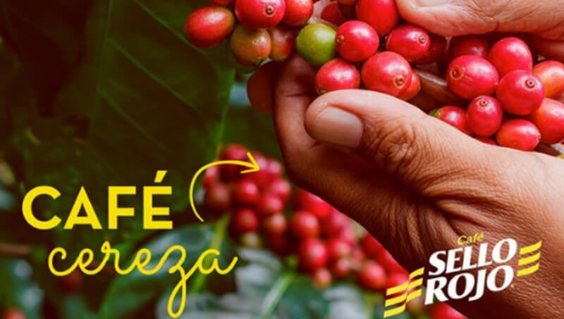 Cómo trabajar en Café Sello Rojo Colombia 2026
